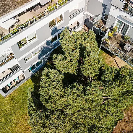 Riese - Sonnenstrahl Arnsberg