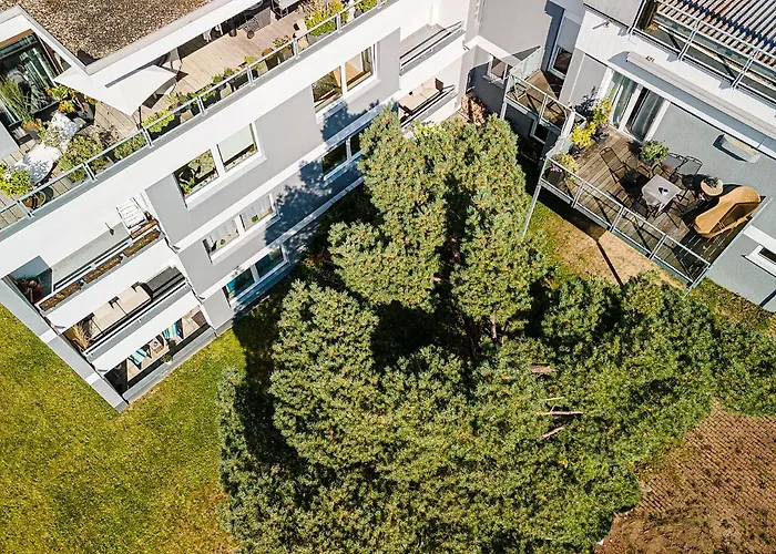 Riese - Sonnenstrahl 阿恩斯贝格